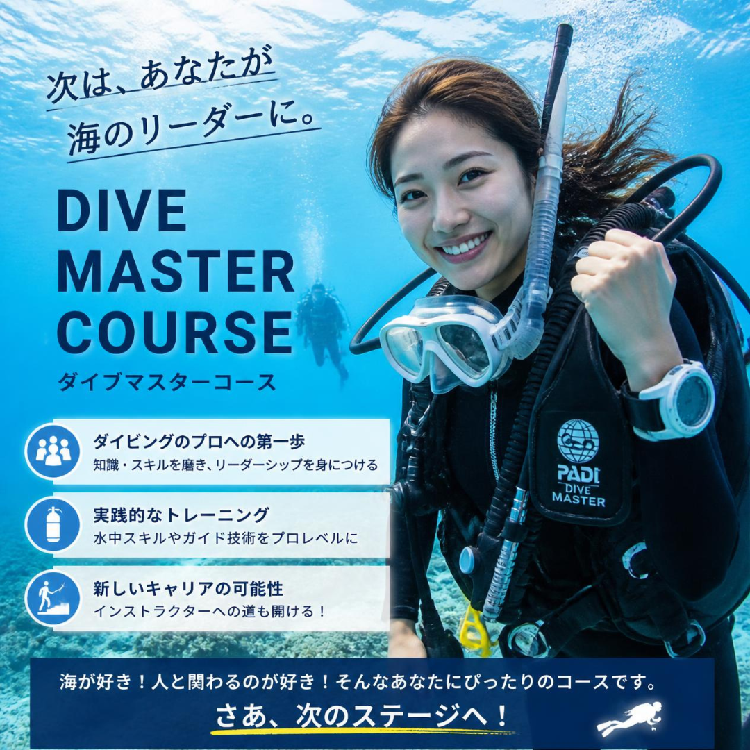 ダイブマスターイメージ